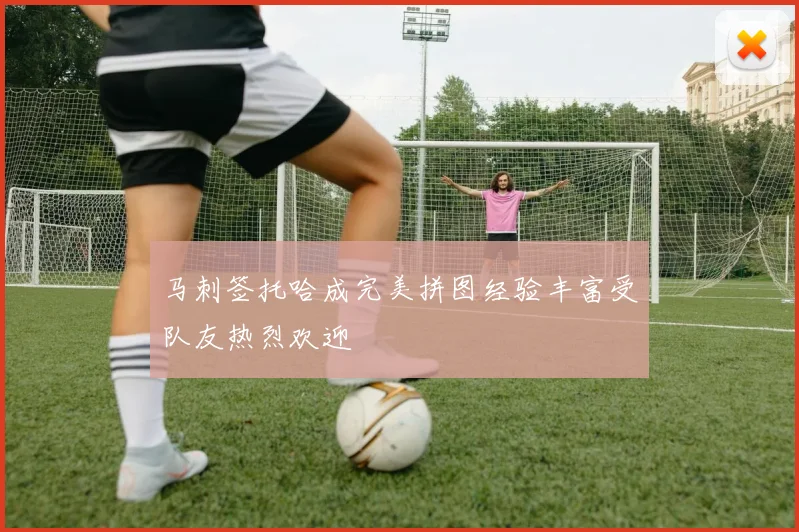 马刺签托哈成完美拼图经验丰富受队友热烈欢迎