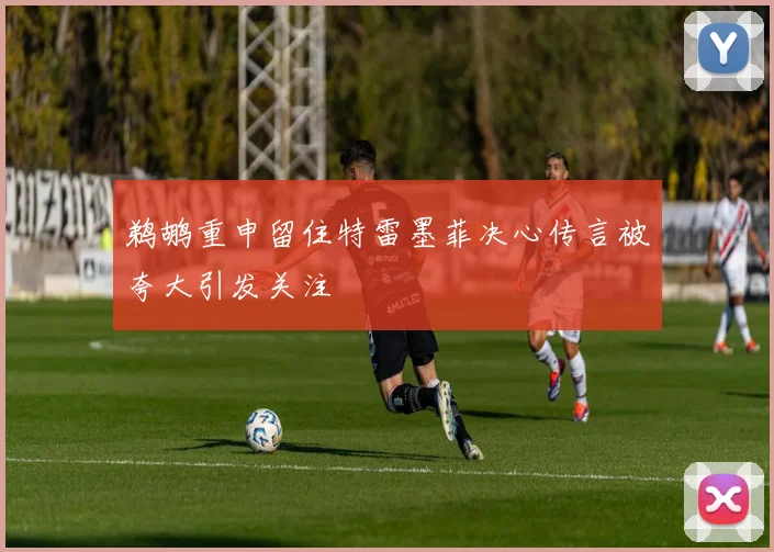 鹈鹕重申留住特雷墨菲决心传言被夸大引发关注
